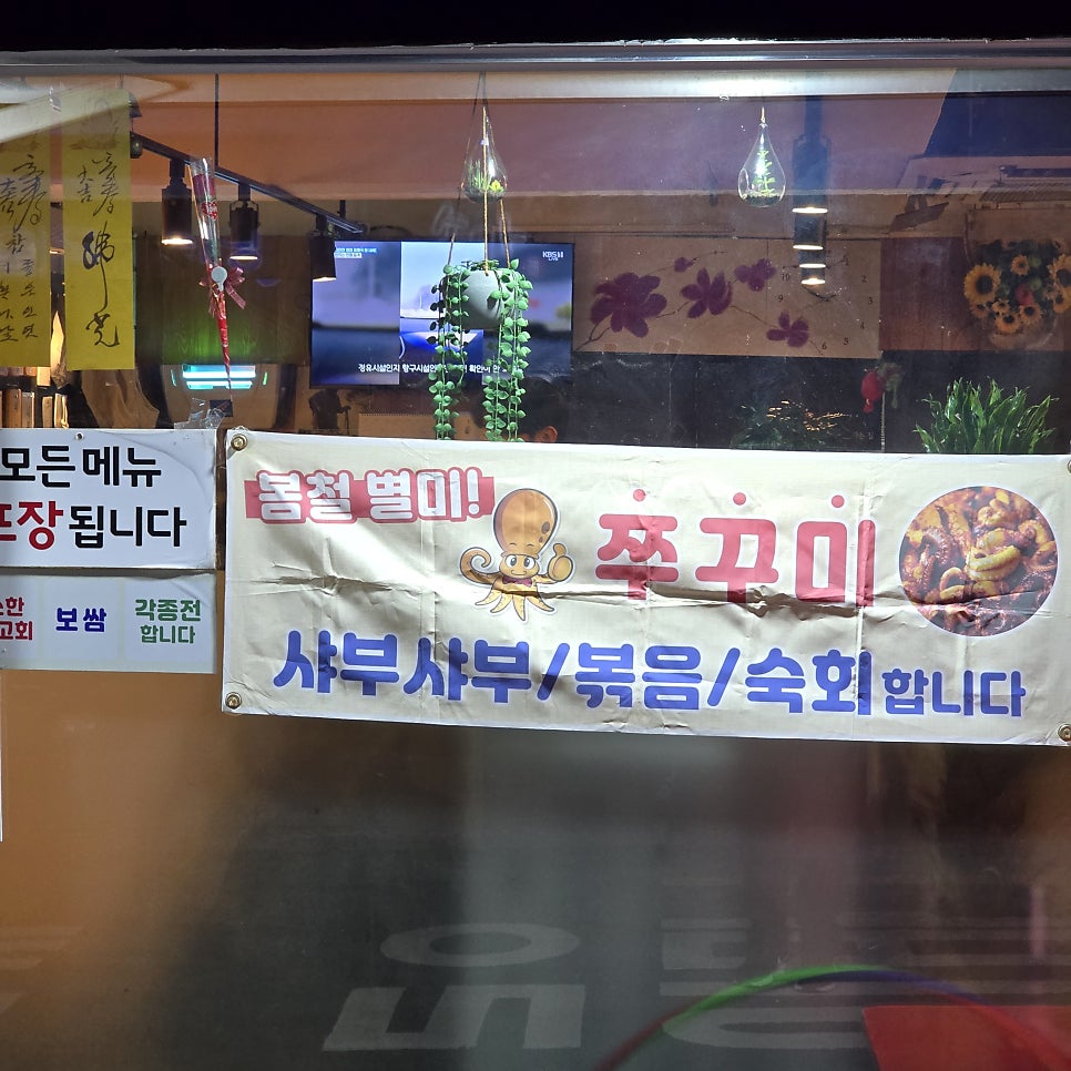 솔가 사진 3