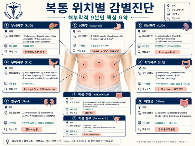  성인 복통 감별진단 — Red flag부터 Alvarado Score(acute appendicitis DDx) 까지 임상의를 위한 체계적 접근