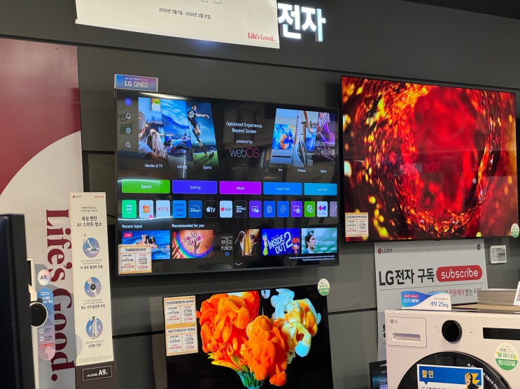  LG 티비 OLED와 QNED 대체 뭐가 다를까? 쉽게 설명해 드림