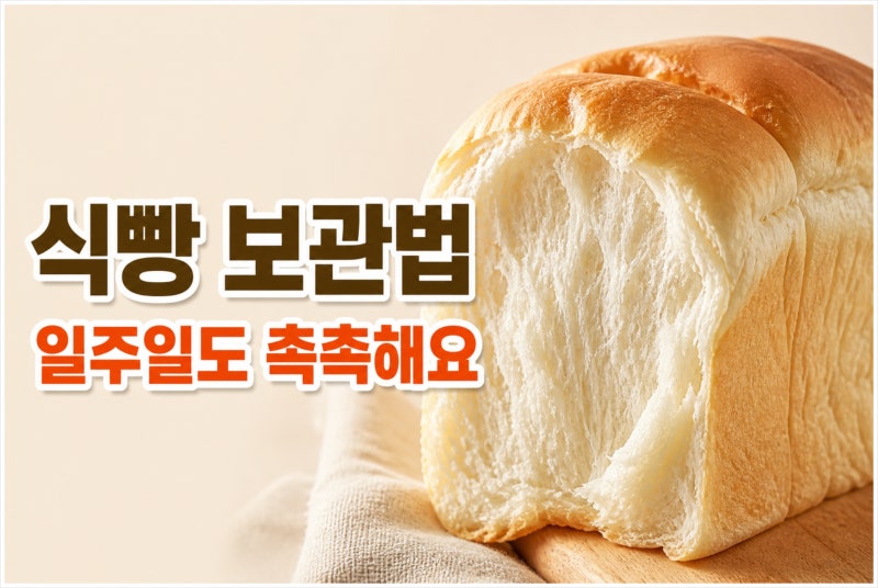 식빵 보관법 이렇게 하면 일주일도 촉촉해요