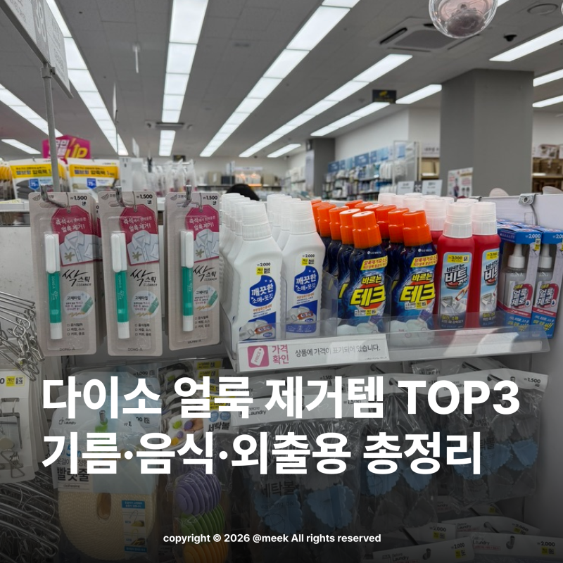 다이소 얼룩 지우기 꿀템 TOP3, 이거 모르고 빨래하면 효과 반토막
