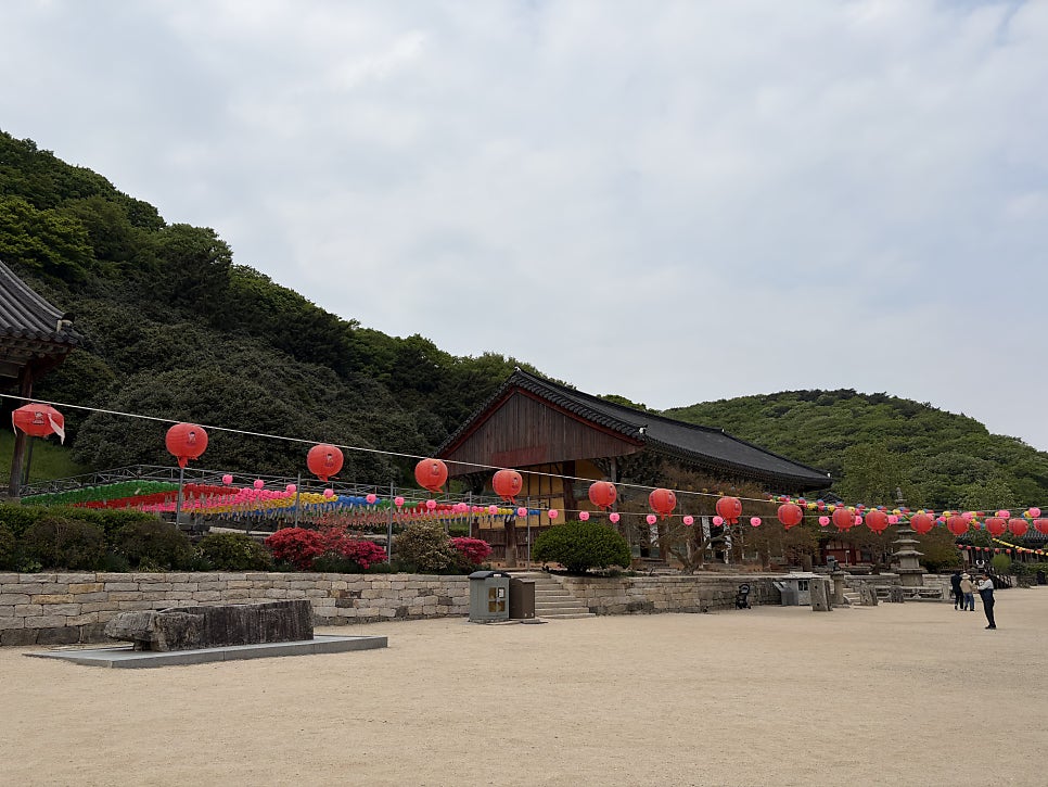 마호네펜션 사진 6