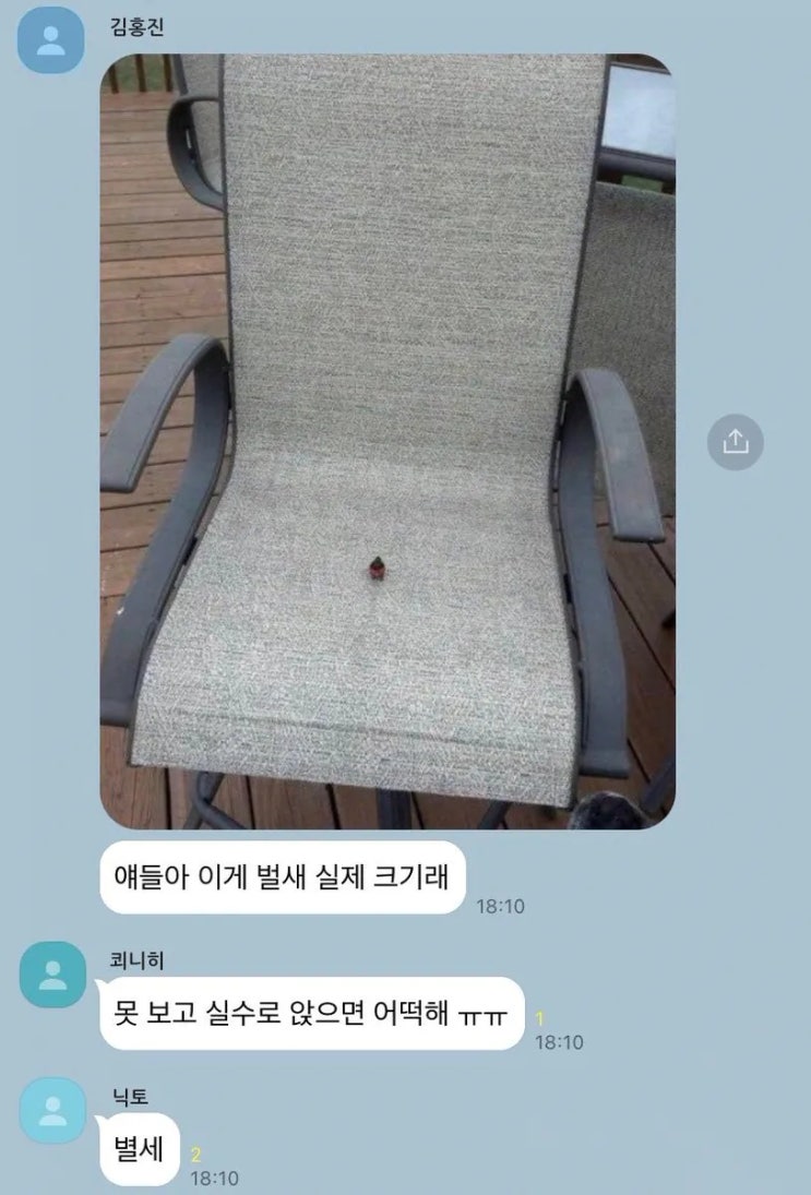  벌새 실제 크기래 못 보고 실수로 앉으면 어떡해.jpg