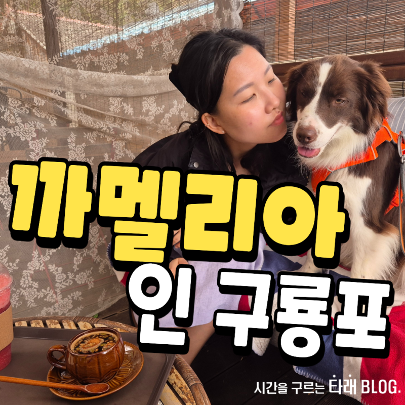 사진 5