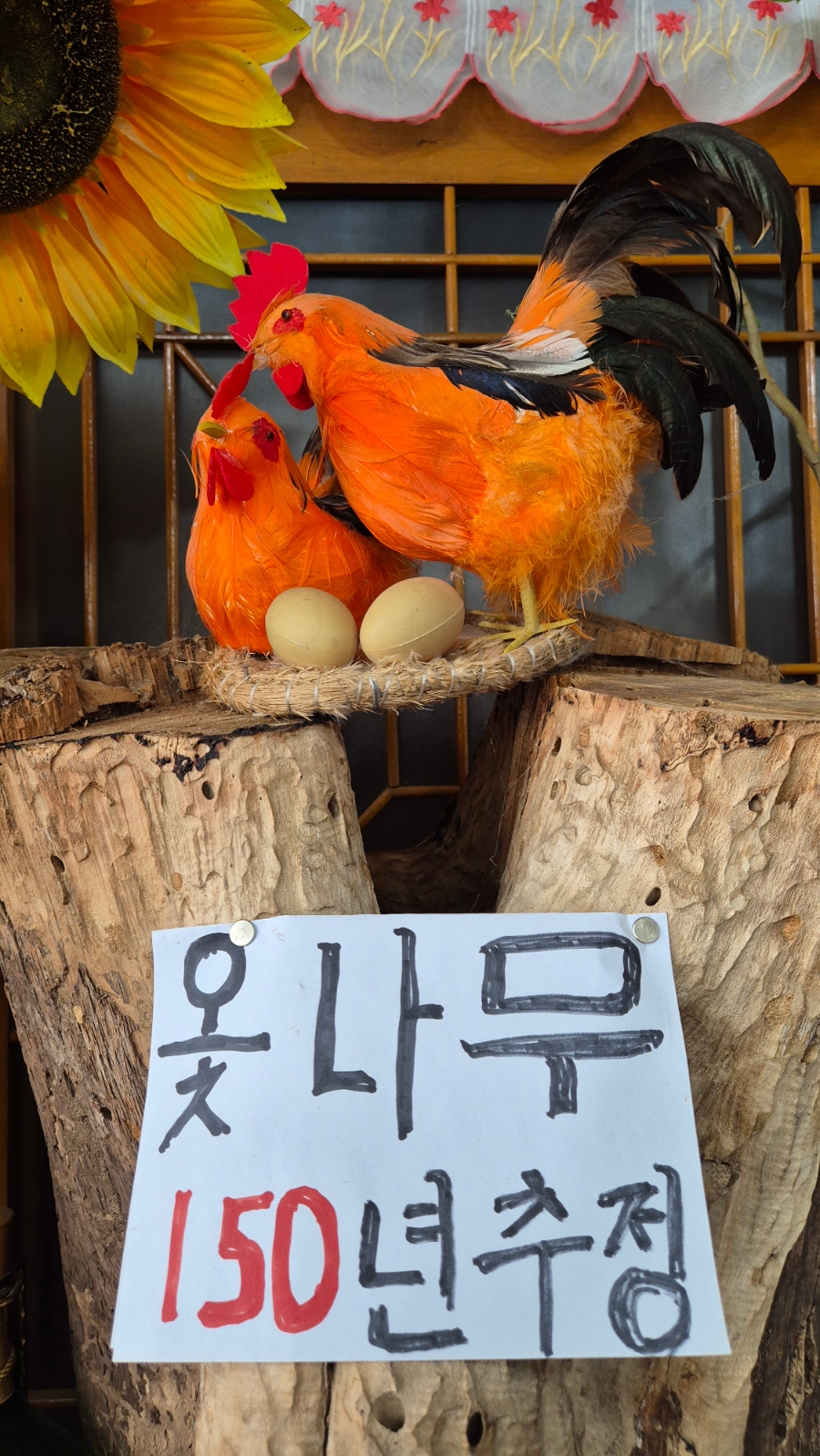 Mundonggeun Hwanggeumotdak photo 1