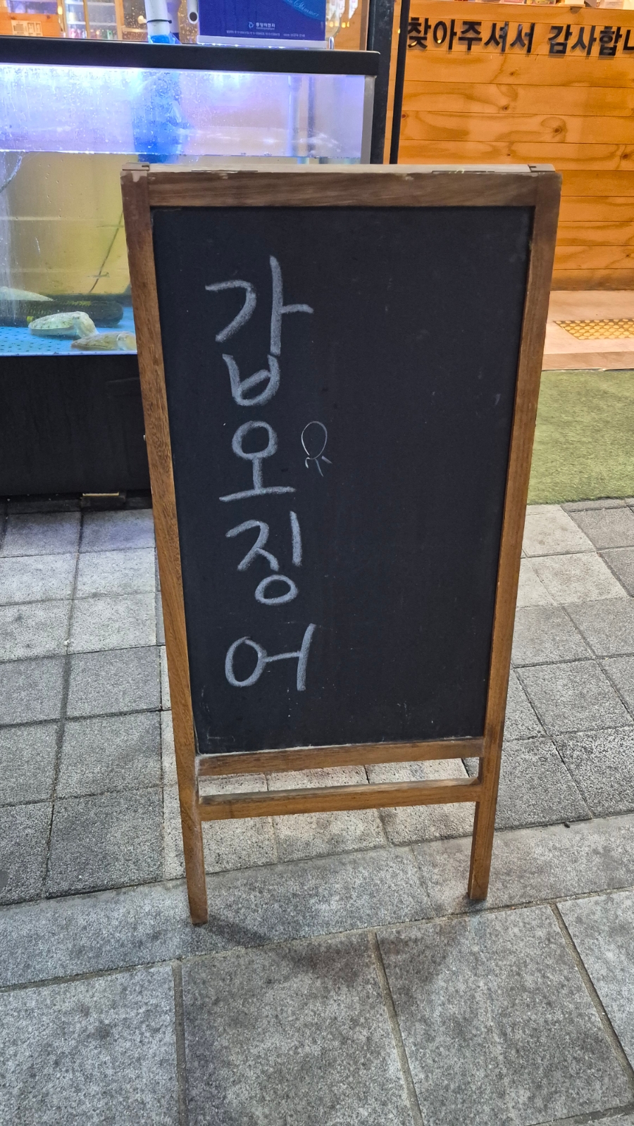 수다떠는 오징어 사진 6