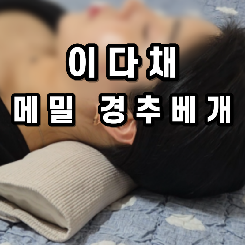 일자목베개 찾다가 정착함 이다채 IDACHE 경추목베개 메밀베개 솔직후기