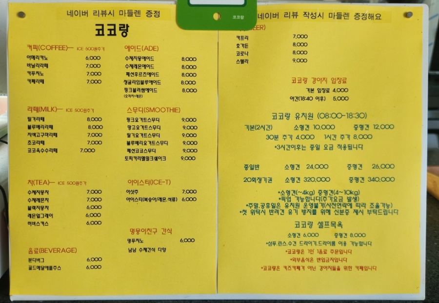 코코랑 사진 2