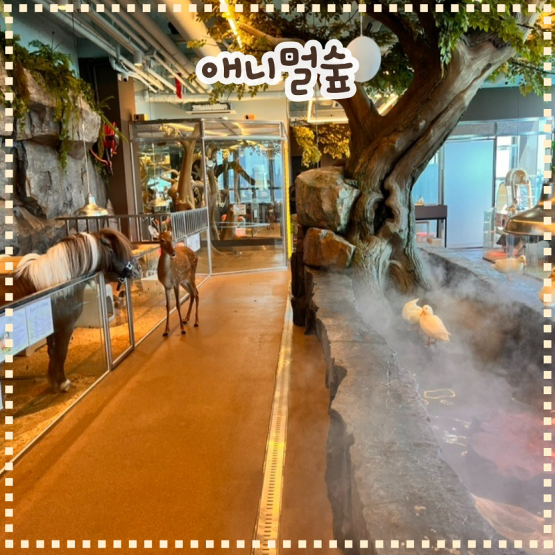 부산 광안리 이색 동물 카페 - 애니멀숲