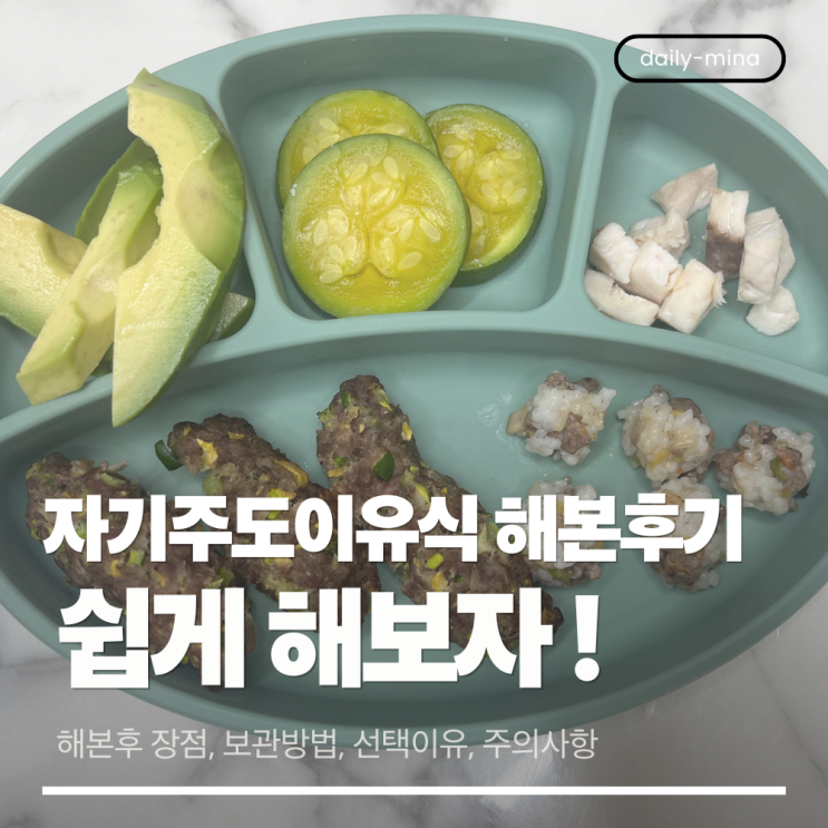  자기주도이유식 5개월 해본 후기, 쉽게해보자! (보관방법,선택이유,주의사항)