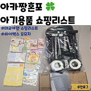 오키나와 아카짱혼포 쇼핑리스트 / 싸이벡스 리베르 유모차 아기용품 태교여행 쇼핑리스트