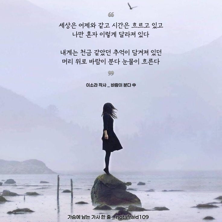 좋은 노래 가사 | 바람이 분다 _ 이소라 작사, 노래