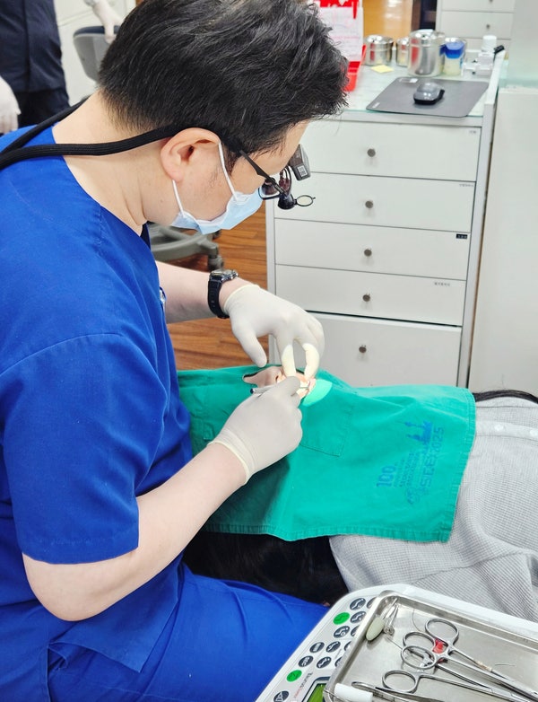 분당치과 청소년 치아교정, 그때 시작했어야 했다는 말 나오는 이유