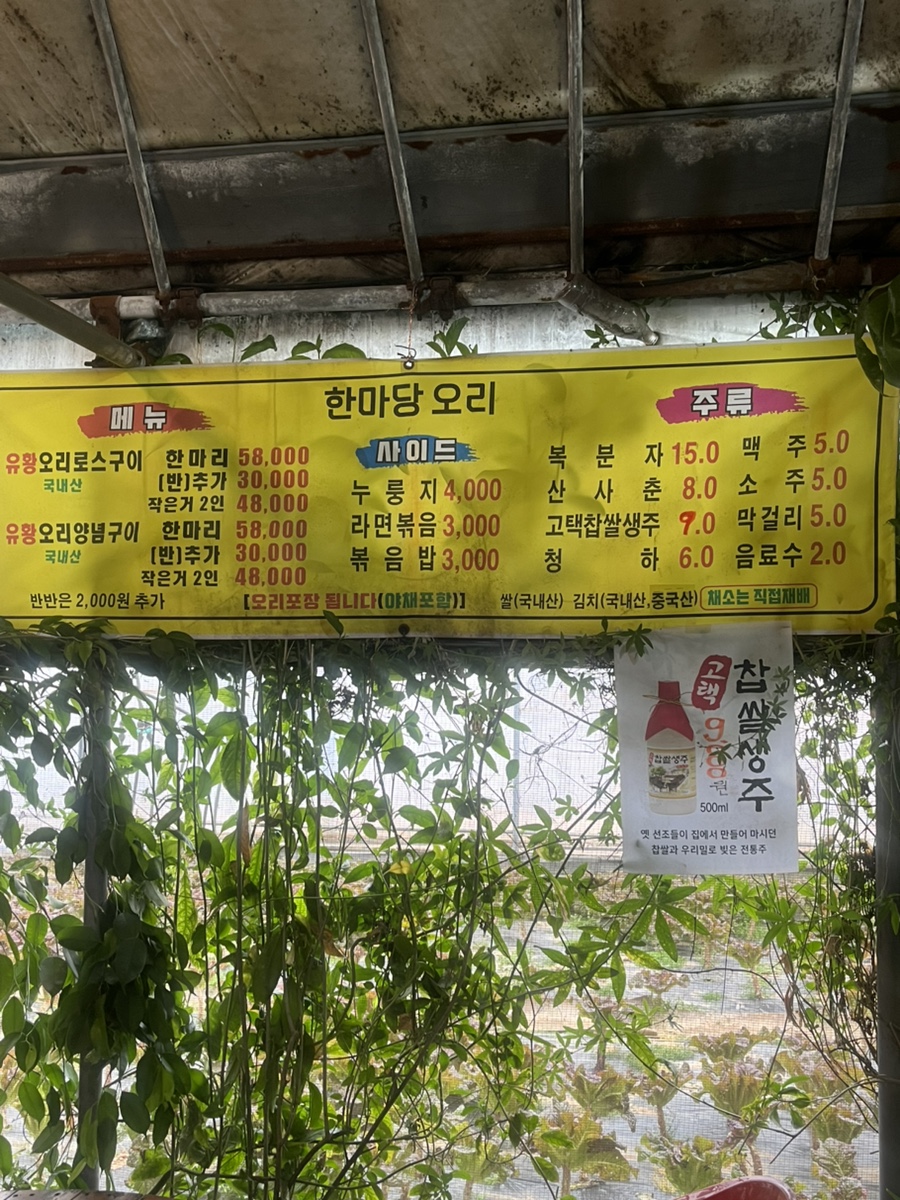 한마당오리 사진 3