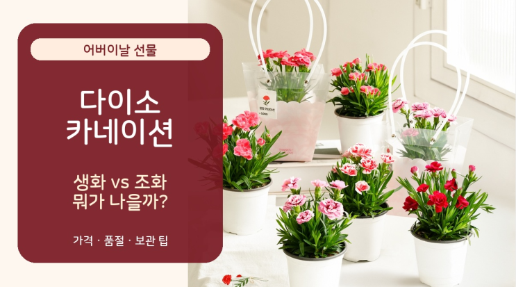  다이소 카네이션 어버이날 선물, 생화·조화 뭐가 나을까
