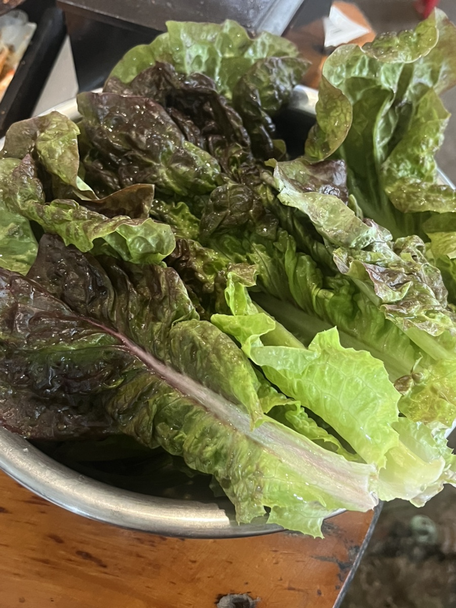 한마당오리 사진 4