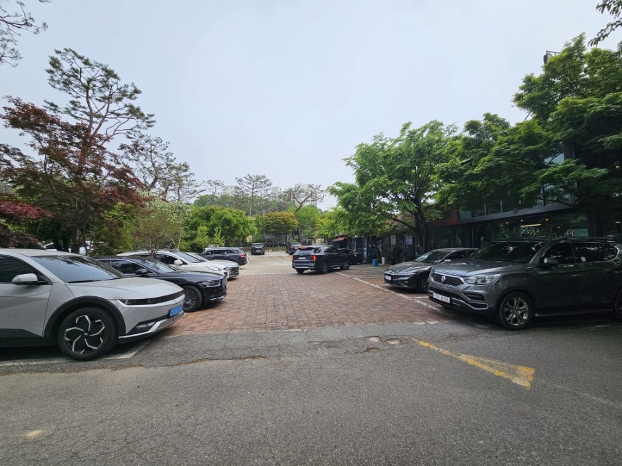바위와소나무 사진 2