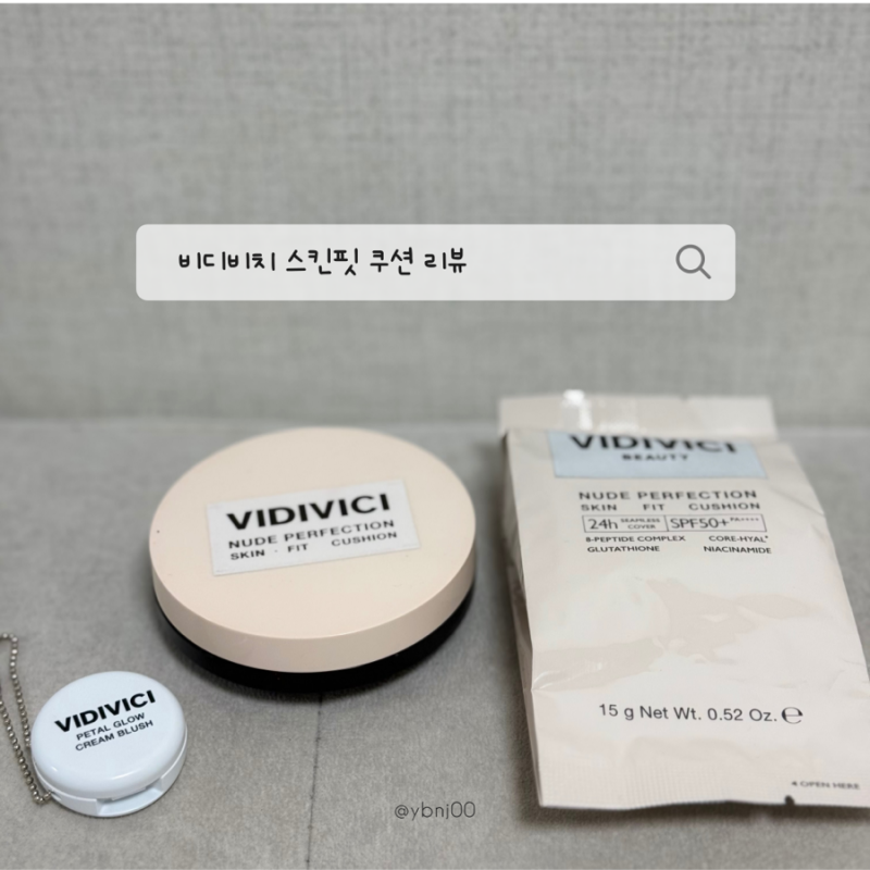비디비치 퍼펙션 스킨 핏 쿠션 19NC 수부지 인생쿠션 추천