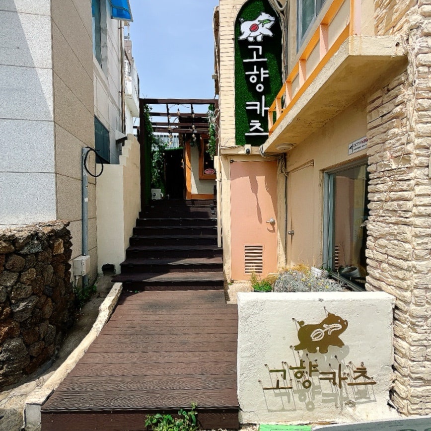 고향카츠 청사포점 사진 2