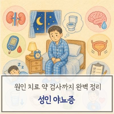 성인 야뇨증 원인 치료 약 검사까지 완벽 정리