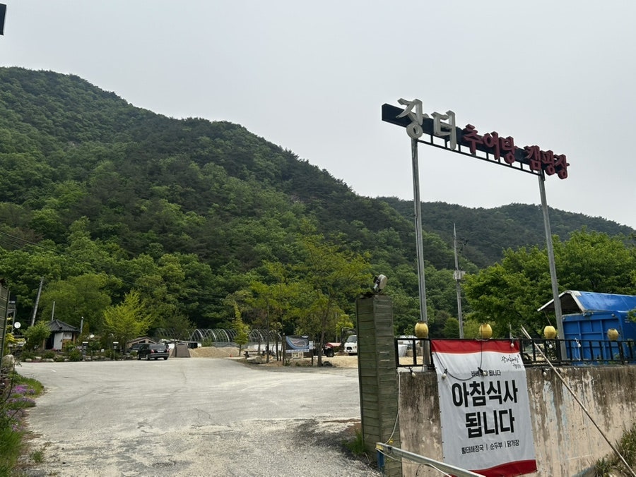 장터추어탕캠핑장 사진 2