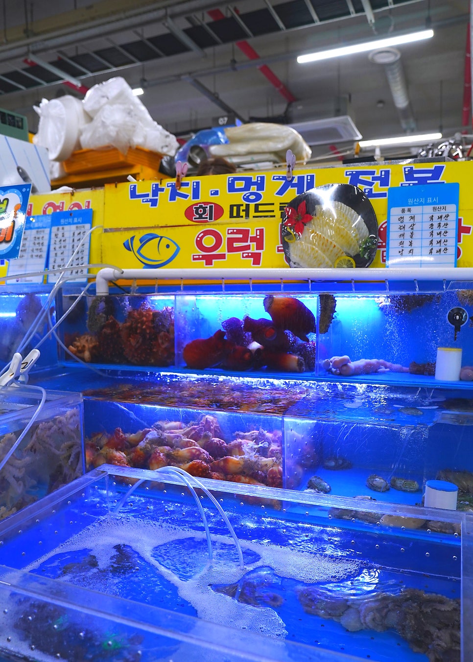Myeongsikine photo 6