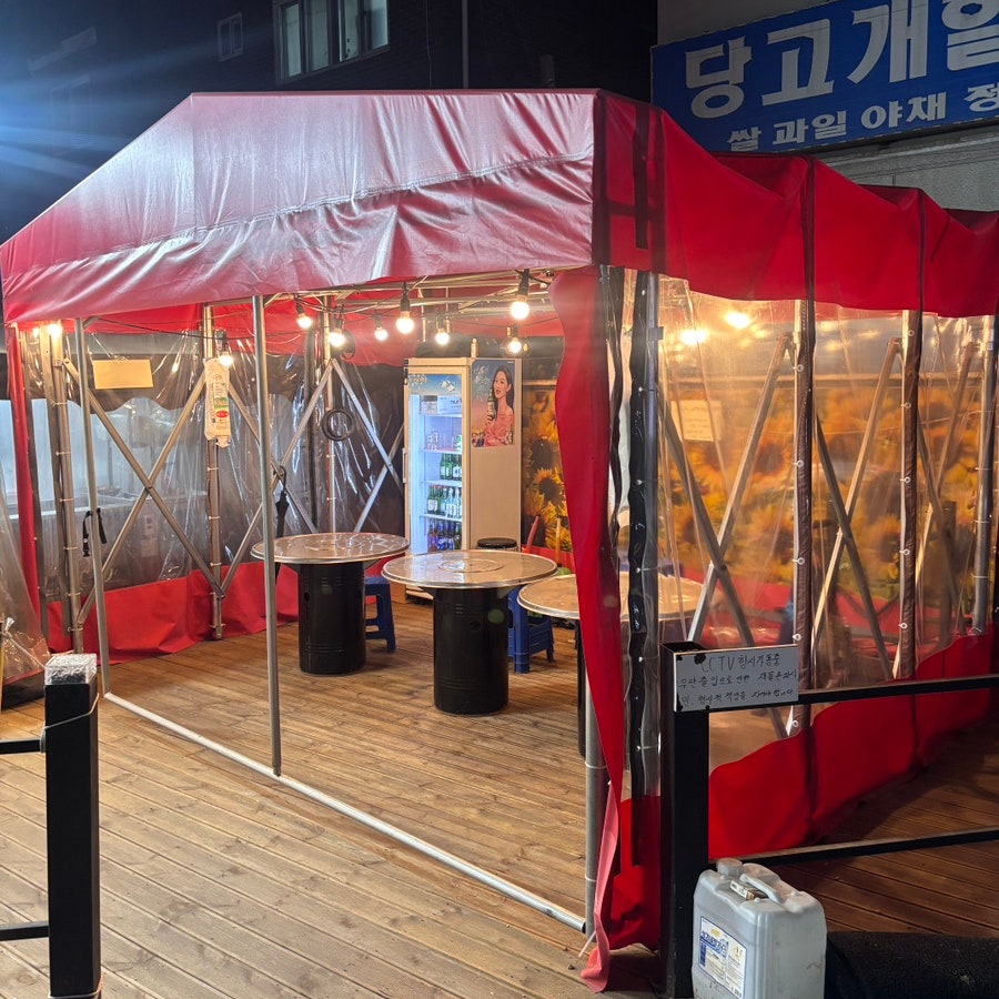 영차 사진 2