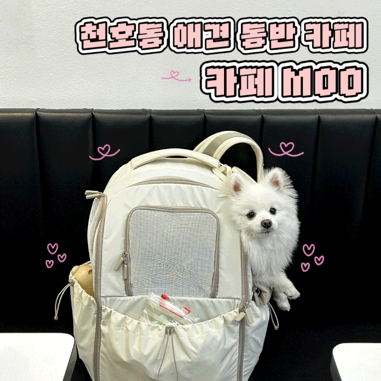  천호동 암사역 애견 동반 카페 버터떡 디저트 맛집 카페 MOO