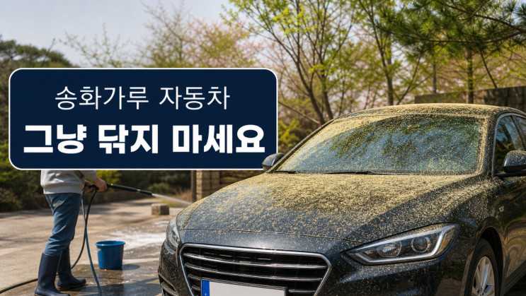  송화가루 자동차 세차, 그냥 닦으면 안 되는 이유