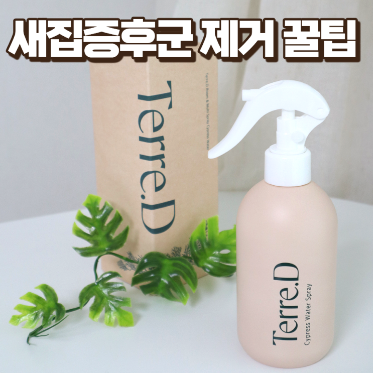  새집증후군 제거 장성숲을 담은 떼르디 피톤치드 편백수 스프레이