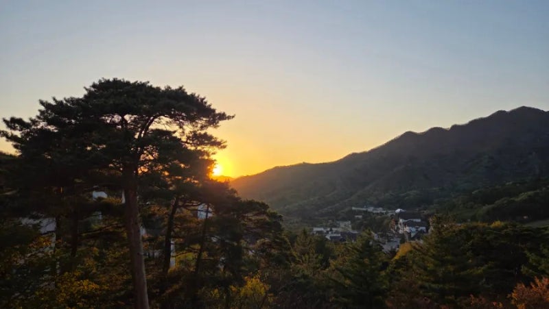 사진 4