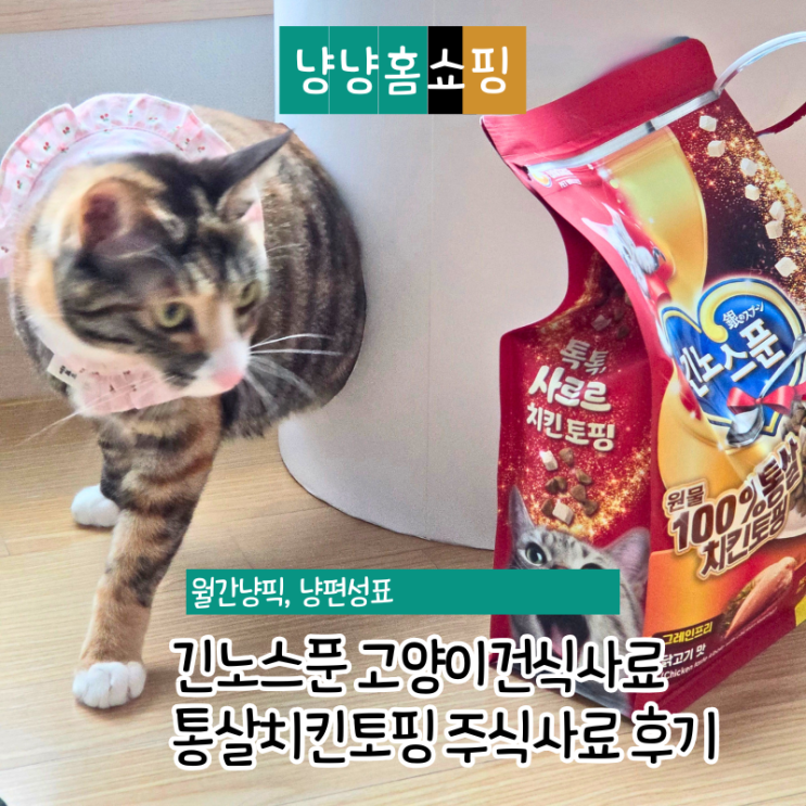  긴노스푼 고양이건식사료 추천 통살치킨토핑 기호성 좋은 주식사료 후기