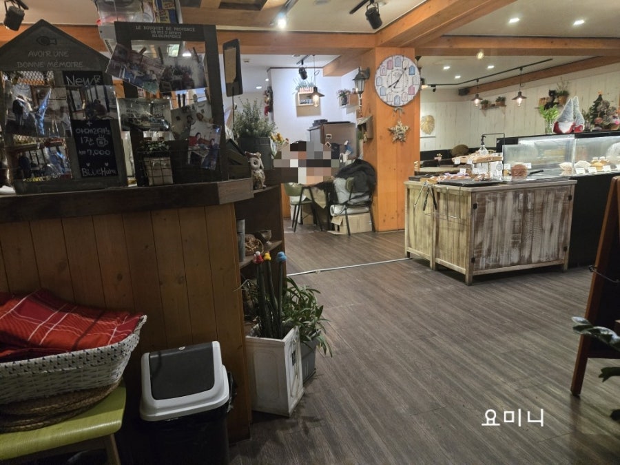 블루하라 사진 6