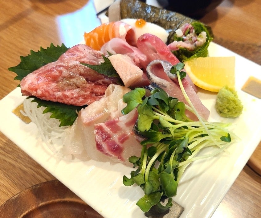 스시범 사진 3