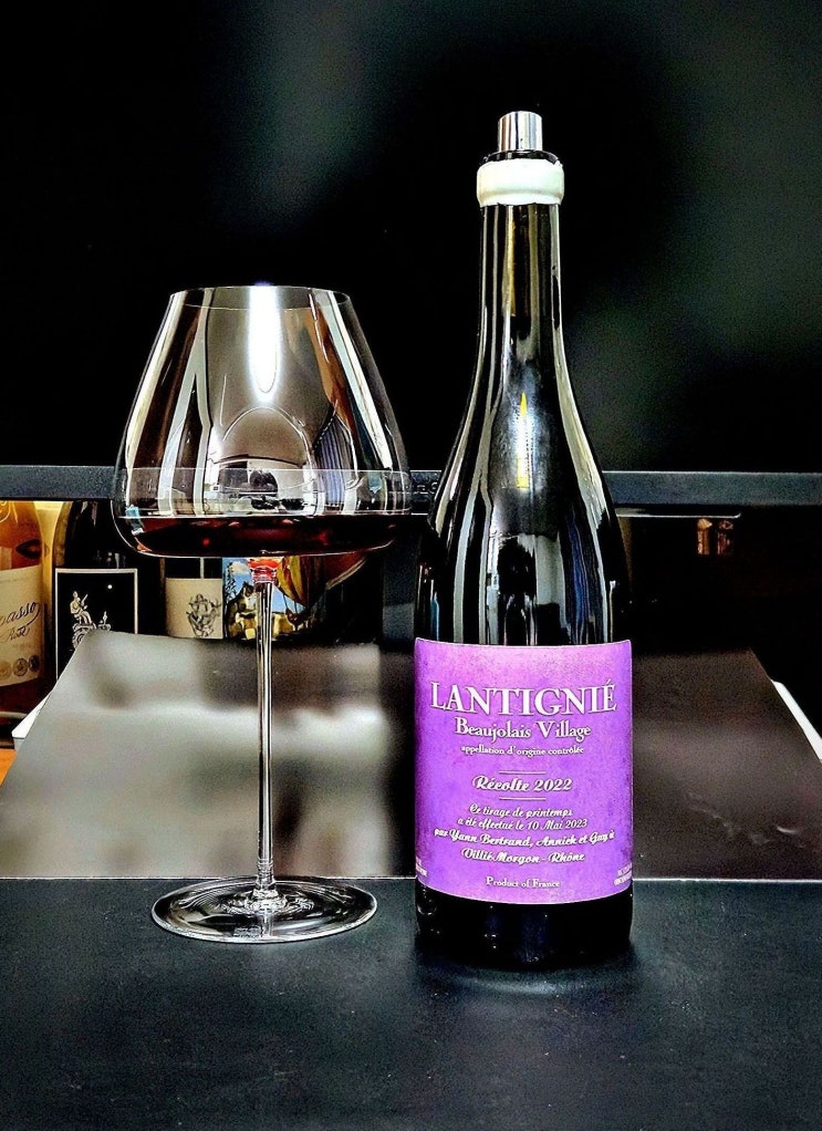  [레드] 얀 베르트랑 랑티니에 보졸레 빌라쥬 2022 Yann Bertrand Lantignie Beaujolais Village 2022 프랑스 가메 레드 와인 리뷰