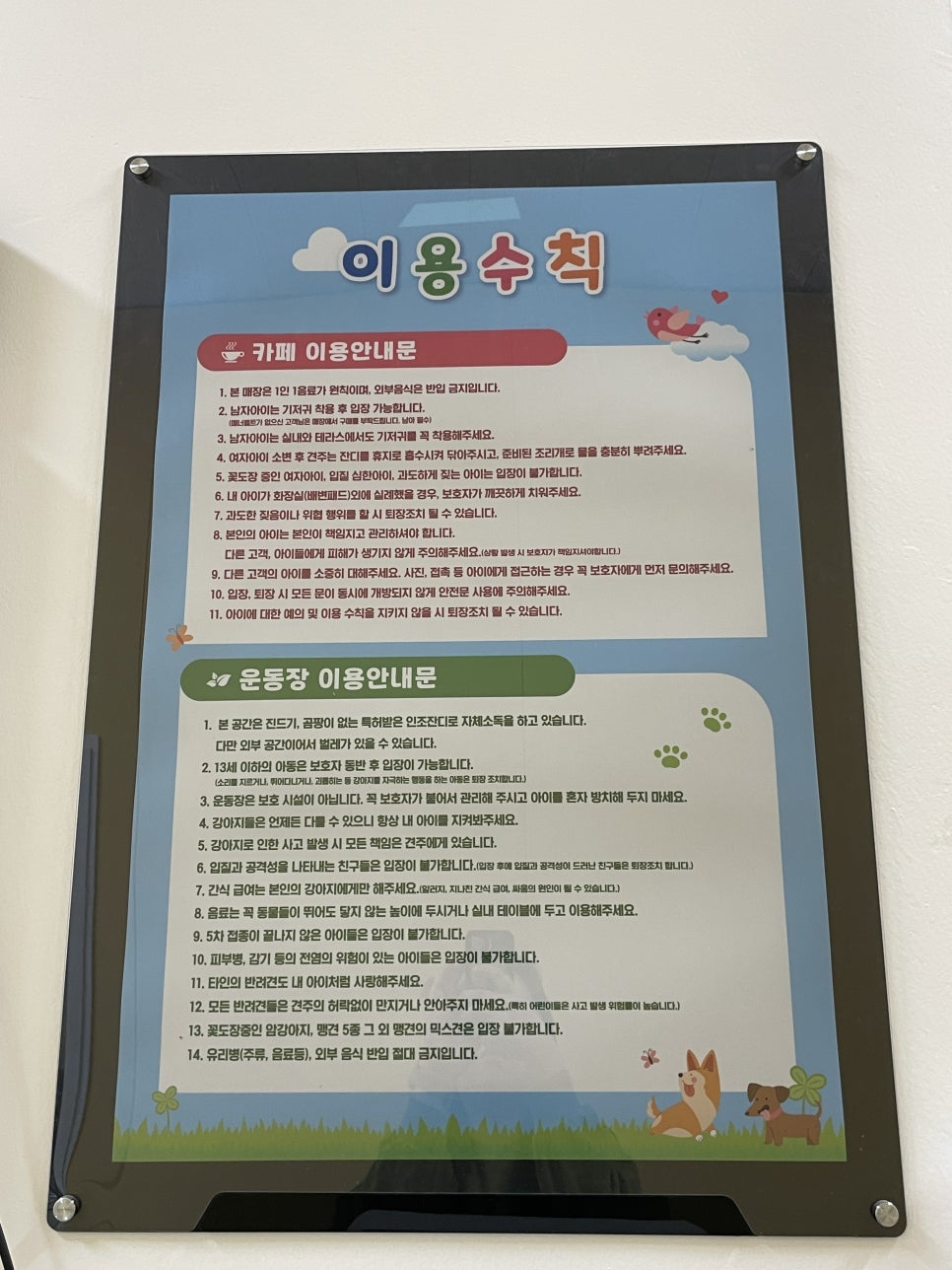 고덕애견놀이터 사진 6