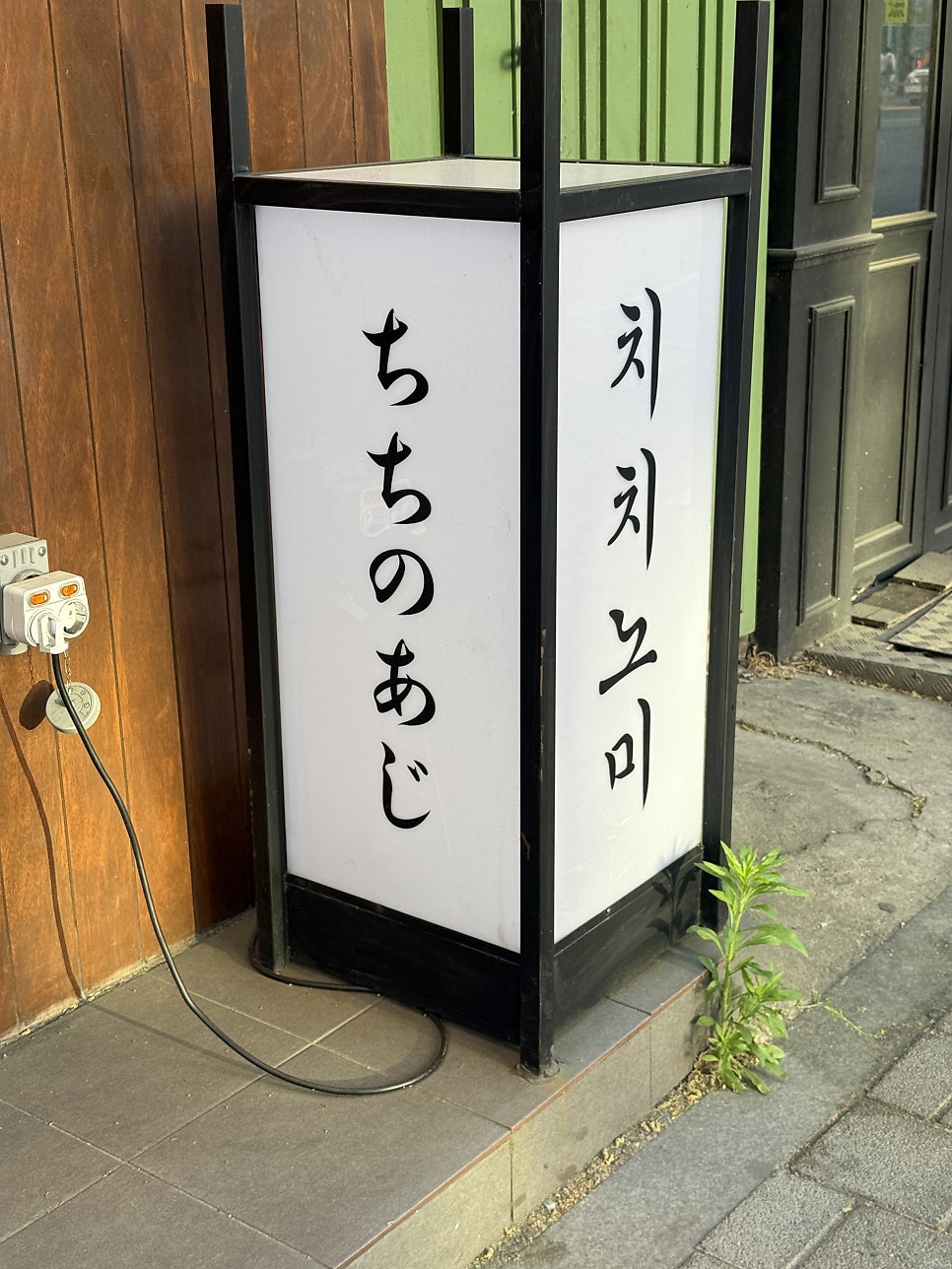 치치노미 사진 2