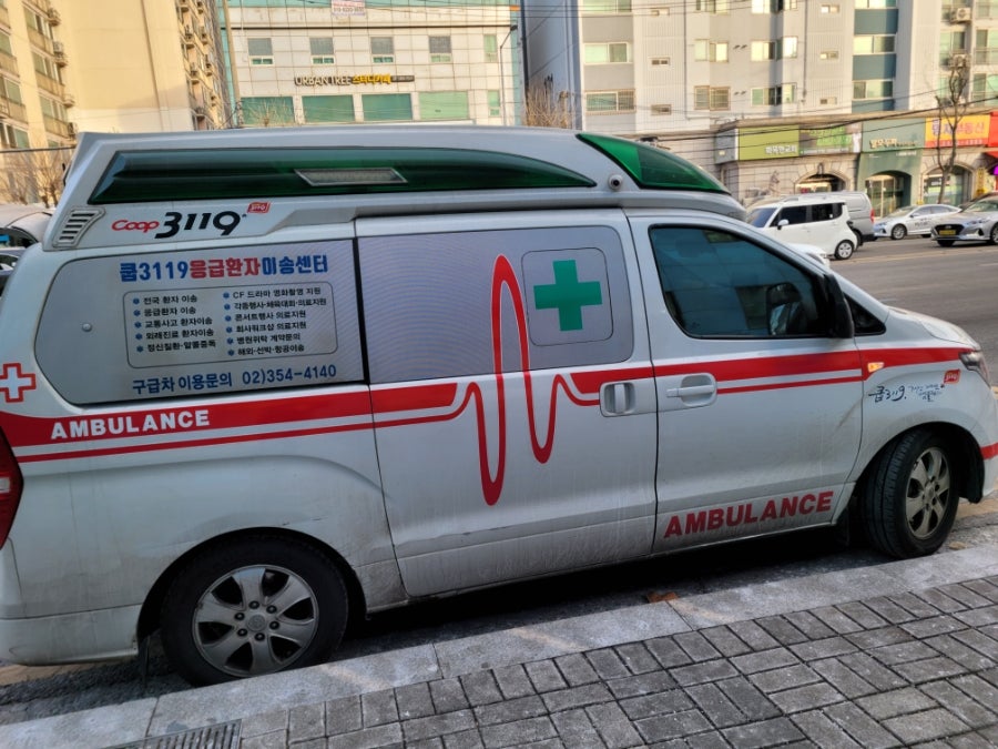포그니 사진 6