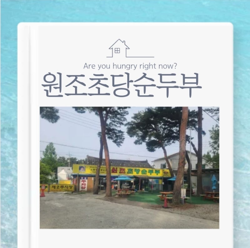 [강릉] 이른 아침 식사로 완벽했던 '원조초당순두부' 후기