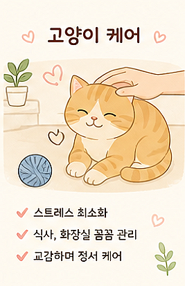 사진 9