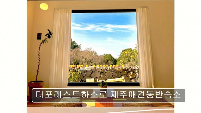 사진 5