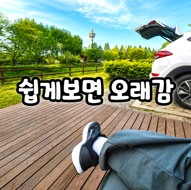  발목인대 부분파열 7개월간의 기록
