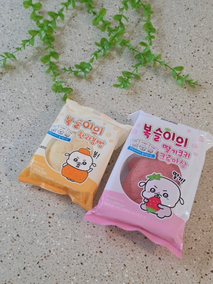  GS25 신상 디저트 추천 복슬이 한라봉빵 & 딸기쿠키 크루아상 솔직후기