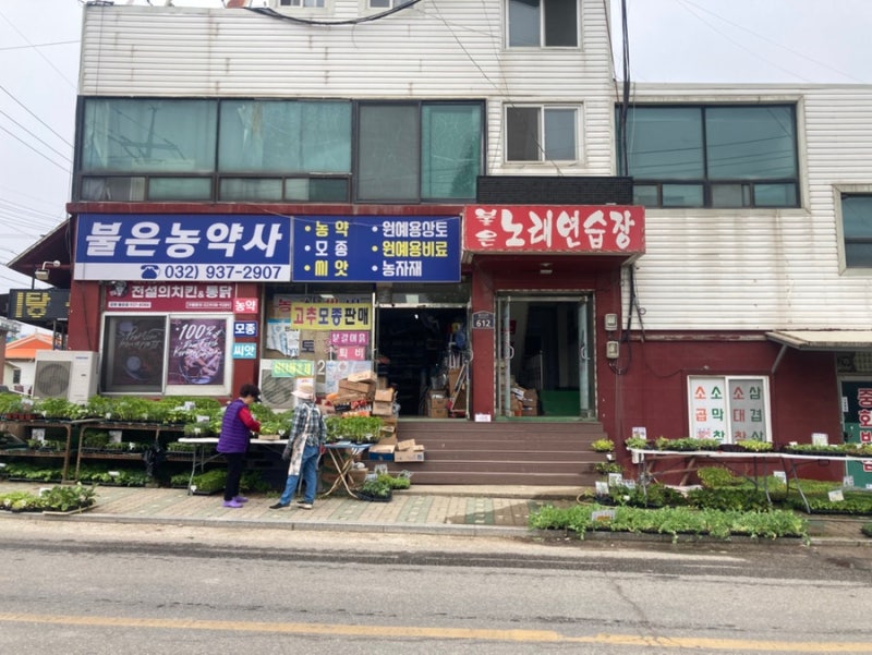 강화도에서 모종 사는 사람이라면 절대 모르면 안 되는 곳, “불은농약사” 불은면 농약사