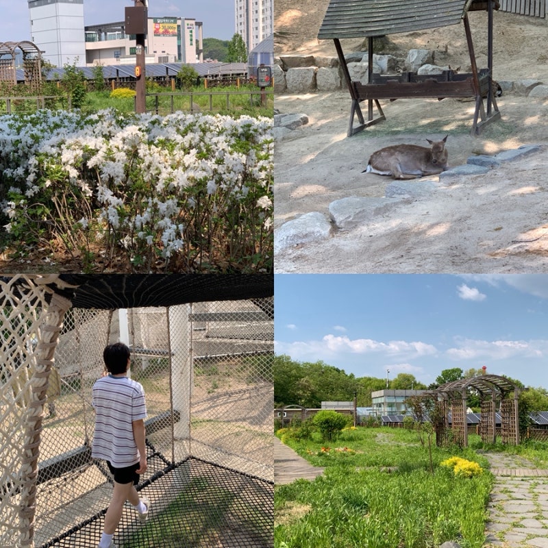 어린이날 아이랑 북서울꿈의숲 강추 주차장 피크닉 후기 + 전기차 주차요금 할인 방법