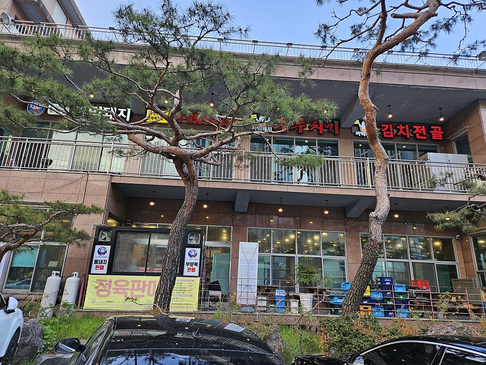 보물촌꺼먹돼지 사진 2