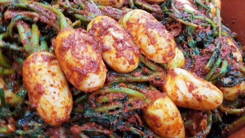 아삭아삭 씹는 맛이 일품! 초롱무김치 담그는법 황금레시피 비결