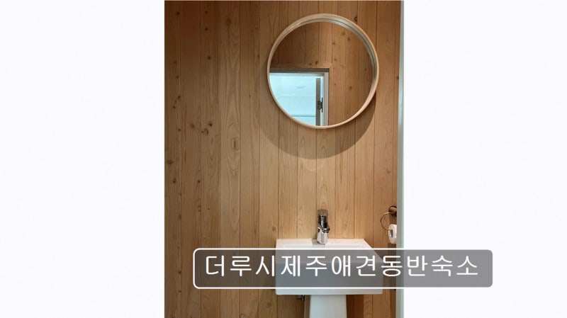 더루시제주애견동반숙소 — 제주시