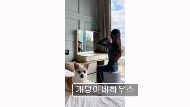 사진 4