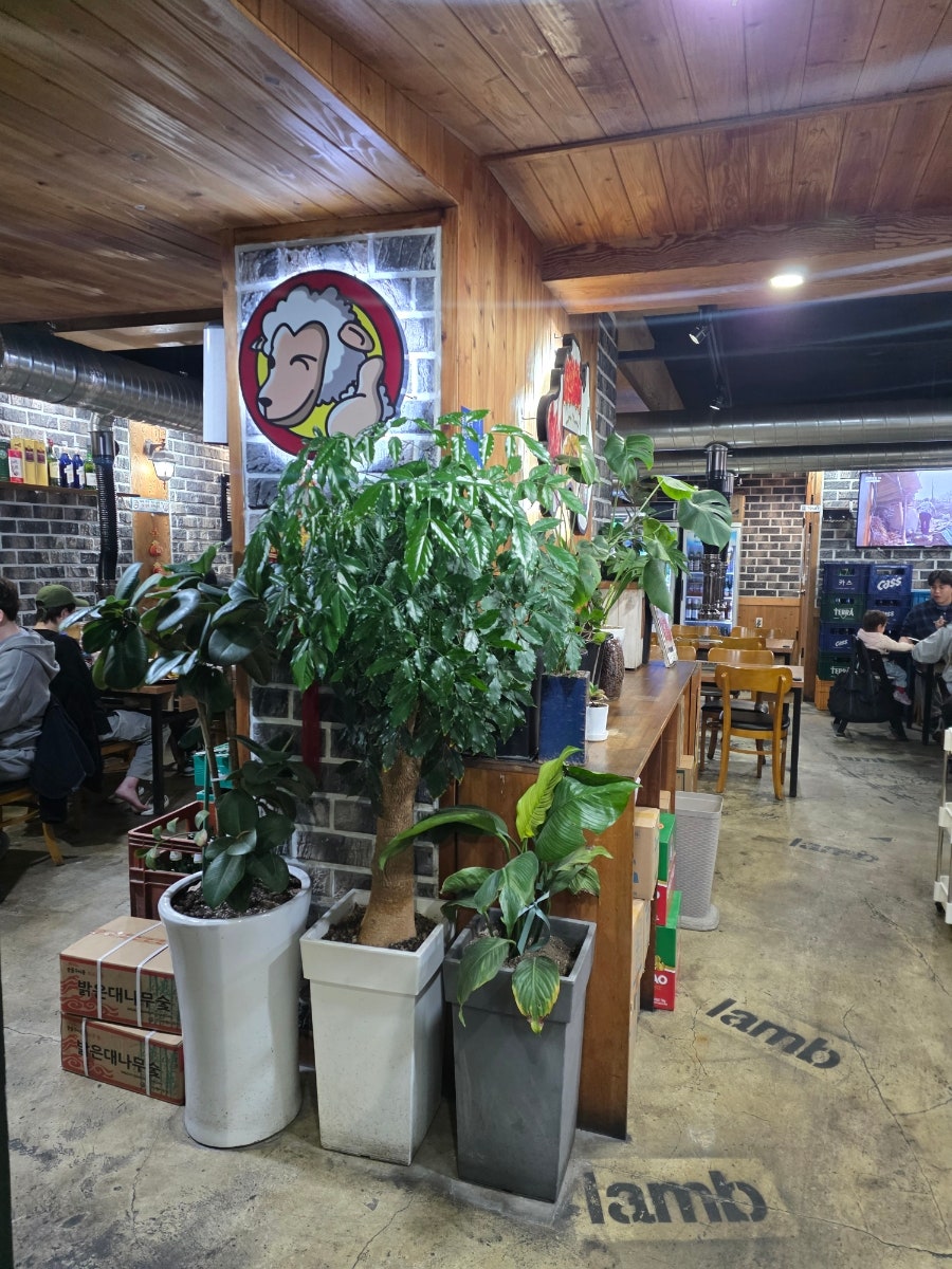 첨밀밀양꼬치 함덕점 사진 4